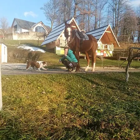 Apartma Pr' Vok *