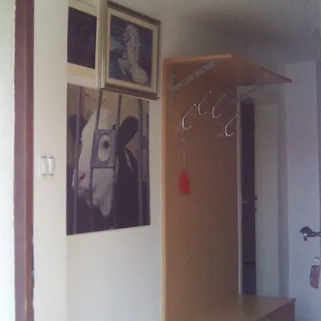 Apartma Pr' Vok * Лешче