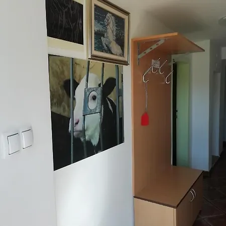 Apartma Pr' Vok Daire *